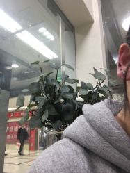 -Wisezone唯点穿耳打耳洞专业国际连锁品牌