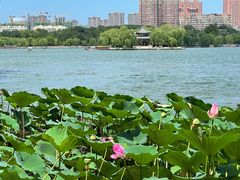 -济南大明湖景区
