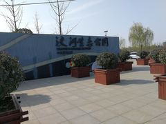 -洨河生态公园