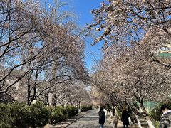 -山东师范大学(千佛山校区)
