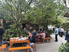 -青城甲(青城山店)