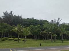 -野狸岛