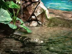 -上海海洋水族馆