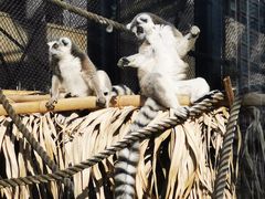-石排湾郊野公园