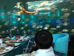 -瑞德姆美人鱼海底演艺主题餐厅(亚龙湾店)