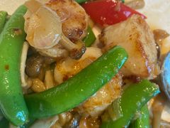 荷兰豆炒澳洲鲜贝-香樟花园新粤料理(无锡万象城店)