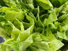 -鸽鸟轩(石岐店)