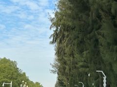 -宝安西湾红树林湿地公园