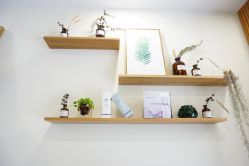 -悦芳庭美肤美体品牌集合店