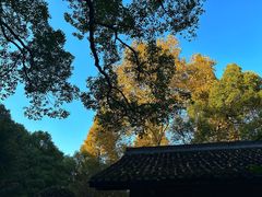 -杭州植物园