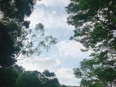 -白云山风景名胜区