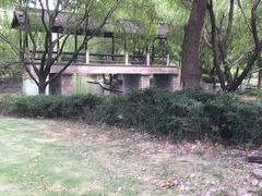-阮氏酒家(柯桥店)