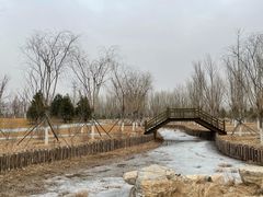 -张家湾公园