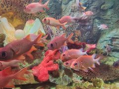 -太平洋海底世界