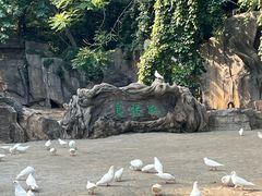 -燕塞湖鸟语林景区