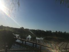 -燕郊植物园