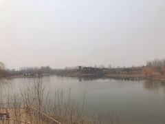 -东郊湿地公园