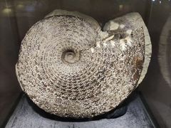 -中华赏石园