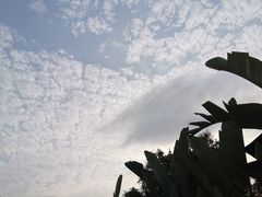 -邊渡咖啡