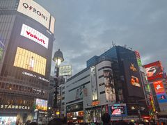 -涩谷全向十字路口