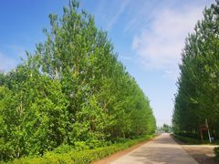 -嘉荫恐龙国家地质公园