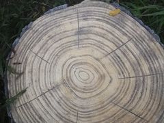 -鼎盛王朝康熙大典实景演出