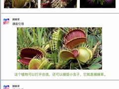 -尼莫儿童美术(三阳路融科天城校区)