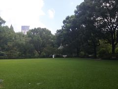 松茸无花果炖海参-申粤轩酒楼·三十年粤菜经典(丁香花园店)