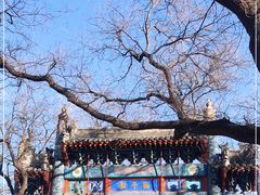 -北京国子监胡同