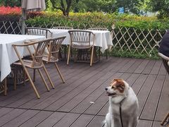 -芳草地度假酒店·野炉中餐厅