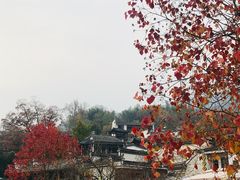 -塔川景区