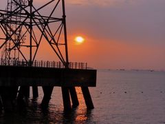 -宝安西湾红树林湿地公园