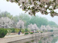 -元大都城垣遗址公园