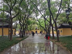 -西园戒幢律寺