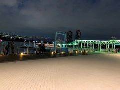 -台场海滨公园船码头