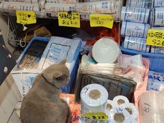 -油麻地果栏