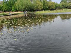 -前关湿地公园