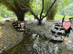 -成都市活水公园