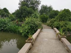 -鹅湖玫瑰文化园