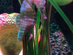 -沈阳海洋探索中心