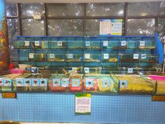 -锦里海景海鲜餐厅.三亚老字号(亚龙湾中心广场店)