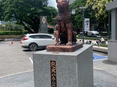 -宁曼路