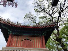 -红螺寺