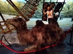 -兰州非物质文化遗产陈列馆