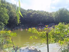 -陶祖圣境风景区