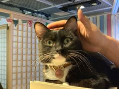 -小时光咖啡馆(开森度假森林店)