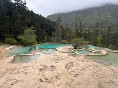 -乡土特色.冷锅鱼.牦牛肉汤锅