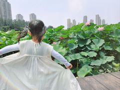 -前关湿地公园