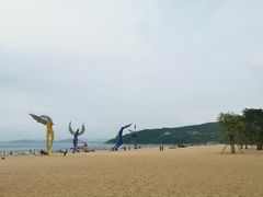 -大梅沙海滨公园