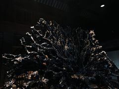 -乐山乌木文化博览苑